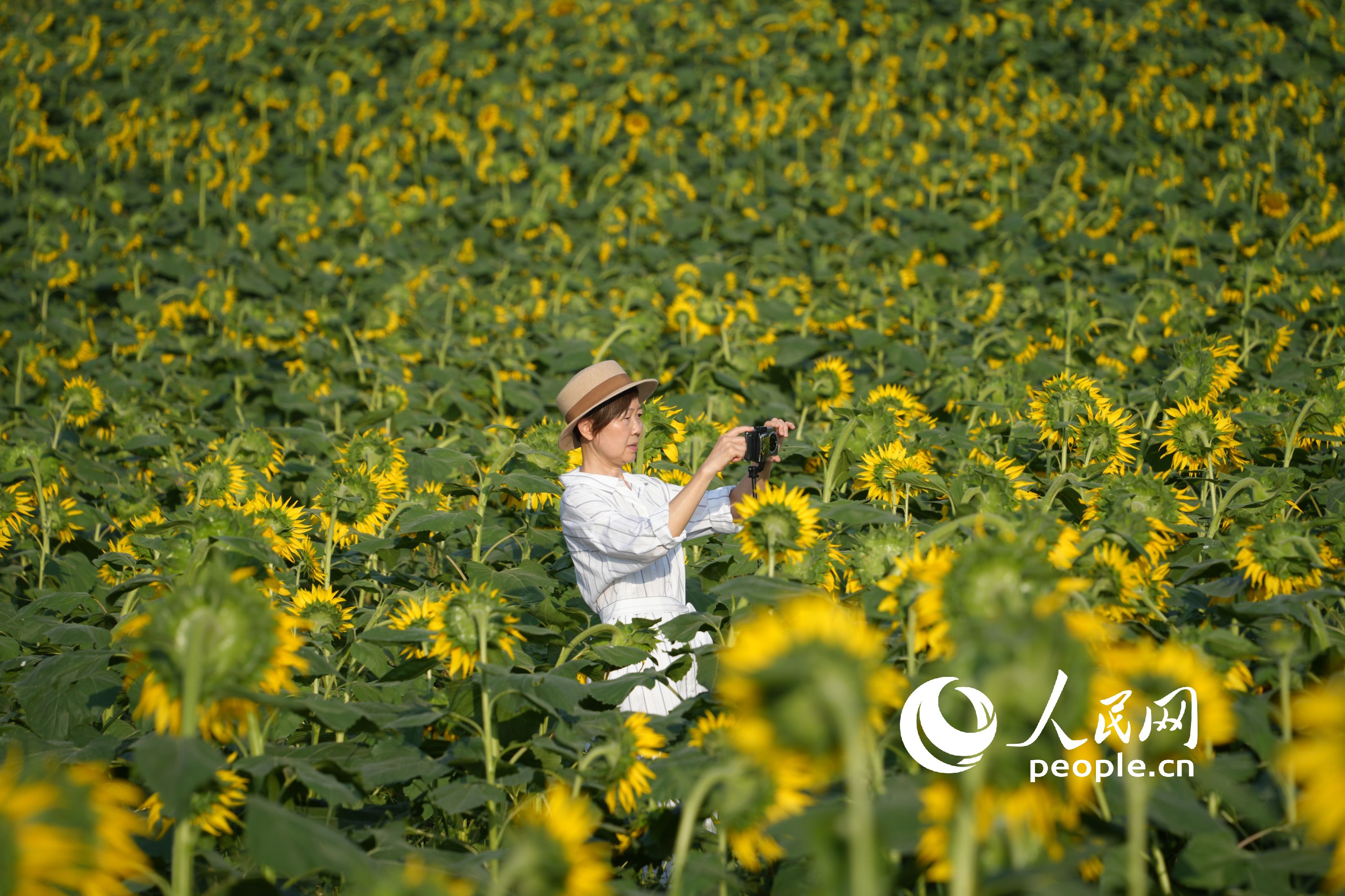 æ¸¸å®¢å¨æå¡æç§ã äººæ°ç½è®°è çå¤©ä¹æ